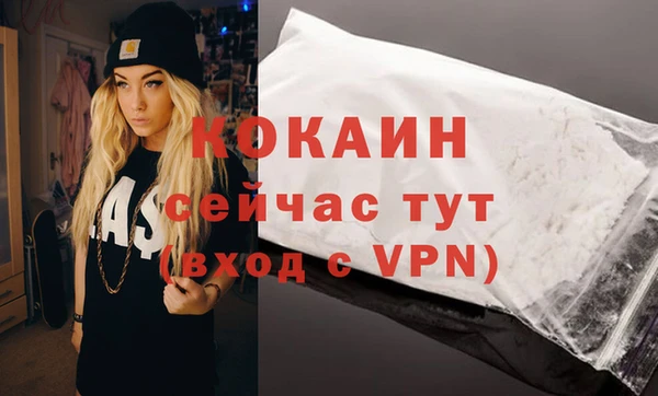 гашик Абаза