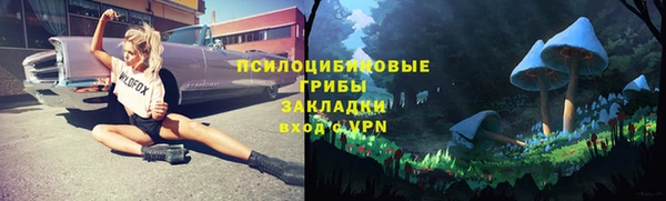 гашик Абаза