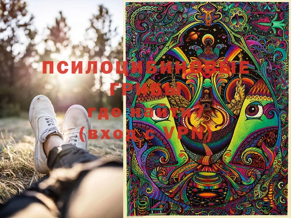 гашик Абаза
