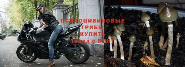 гашик Абинск