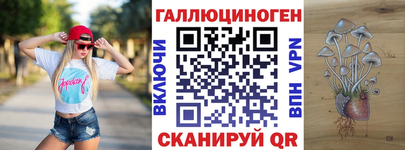 купить Питкяранта Псилоцибиновые грибы MAGIC MUSHROOMS